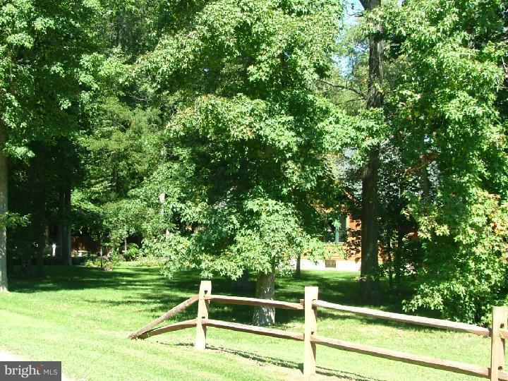 113 Mourning Dove Lane - Photo 1