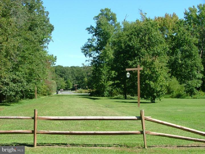 2 Purple Martin Way - Photo 1