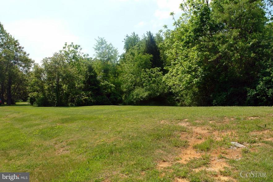 Robinwood Drive - Photo 1