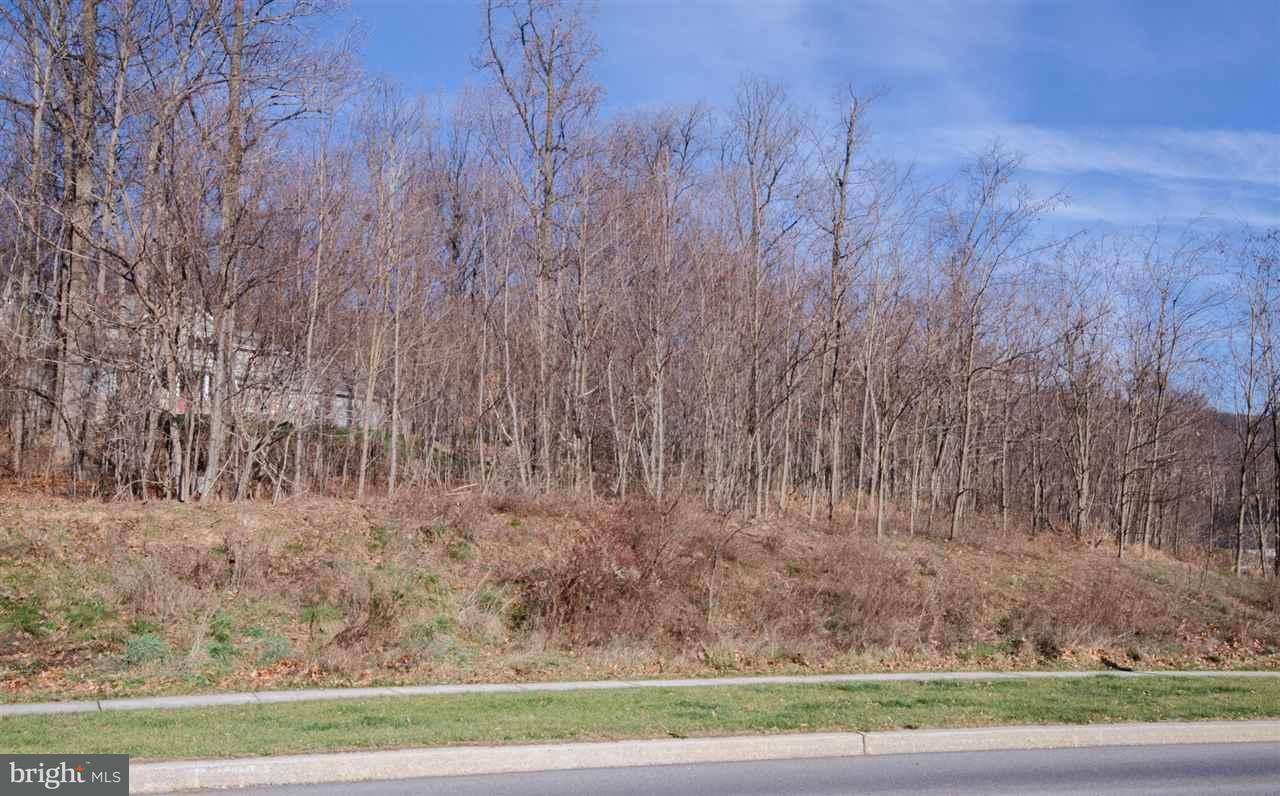 2400 Abbey Lane - Photo 1