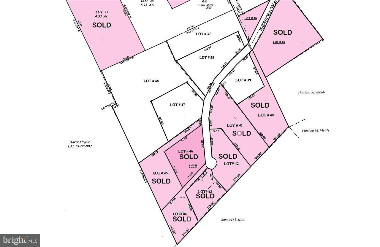 Lot 38 Walnut Way - Photo 1