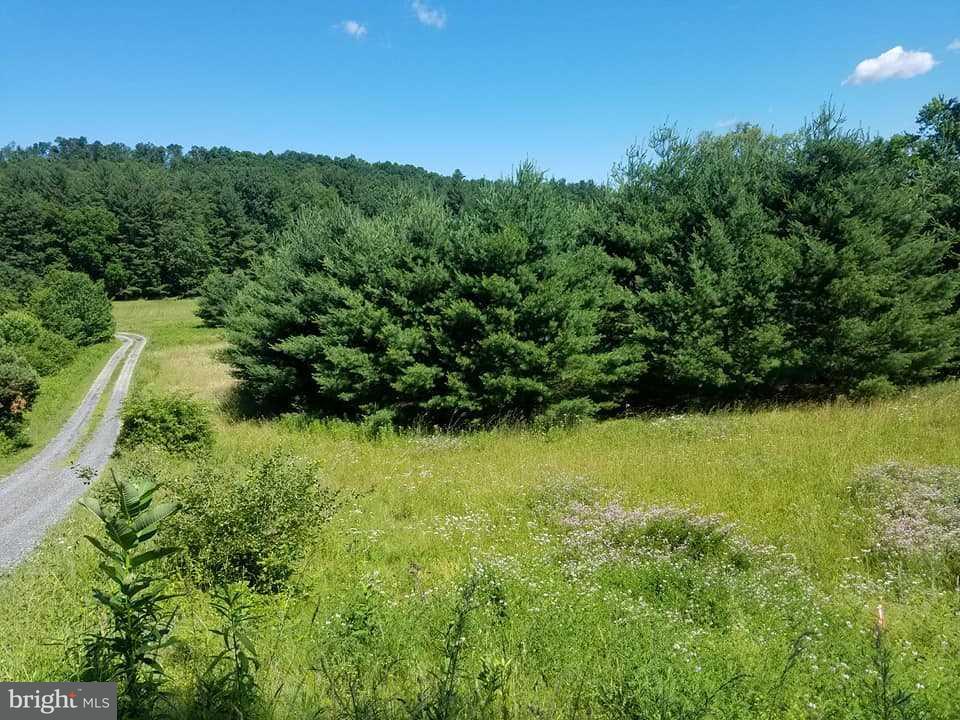 Lot 7 Sandy Hollow Road - Photo 1