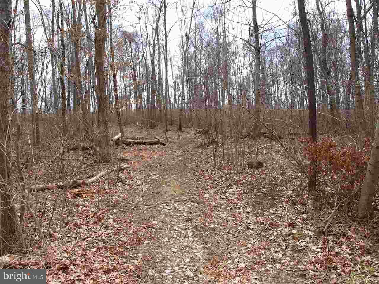 Woodbine Rd. Lot 6 - Photo 1