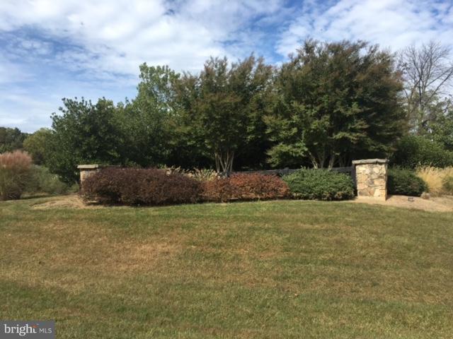 21650 Clear Creek Lane - Photo 1