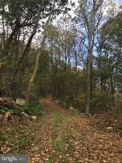 Fannettsburg Road - Photo 1