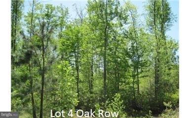 4 Oak Row Road - Photo 1
