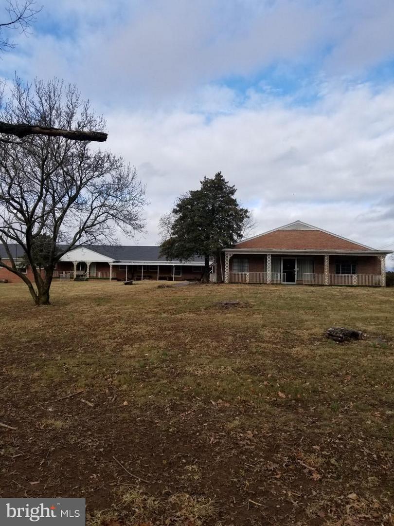17165 Black Stallion Lane - Photo 1