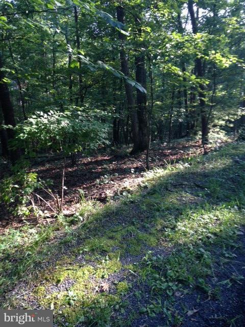 Lee Drive - Photo 1