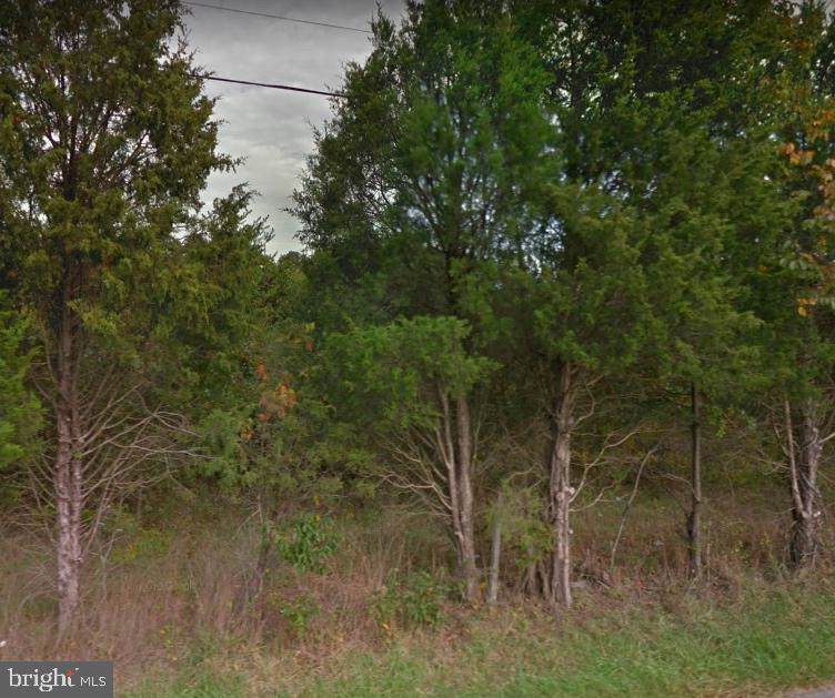 12420 Lusbys Lane - Photo 1