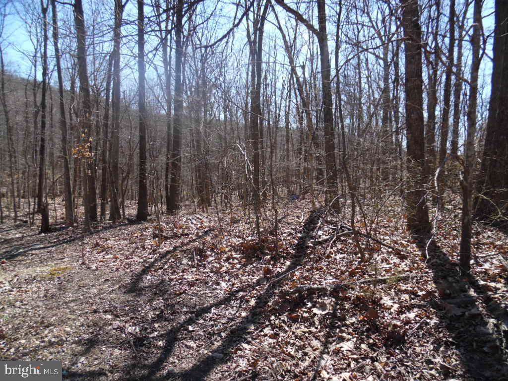 Spring Road - Photo 1