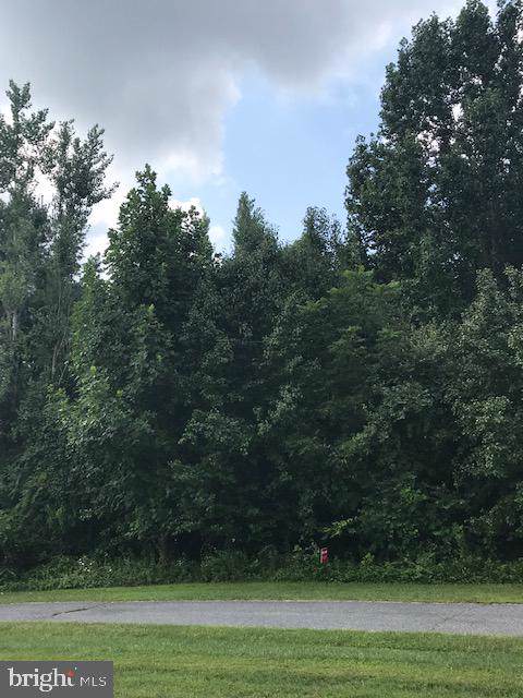 3 lot Lori Jean Drive - Photo 1
