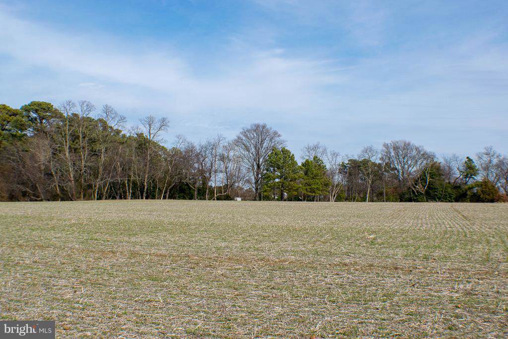0 Twin Cove Lane - Photo 1
