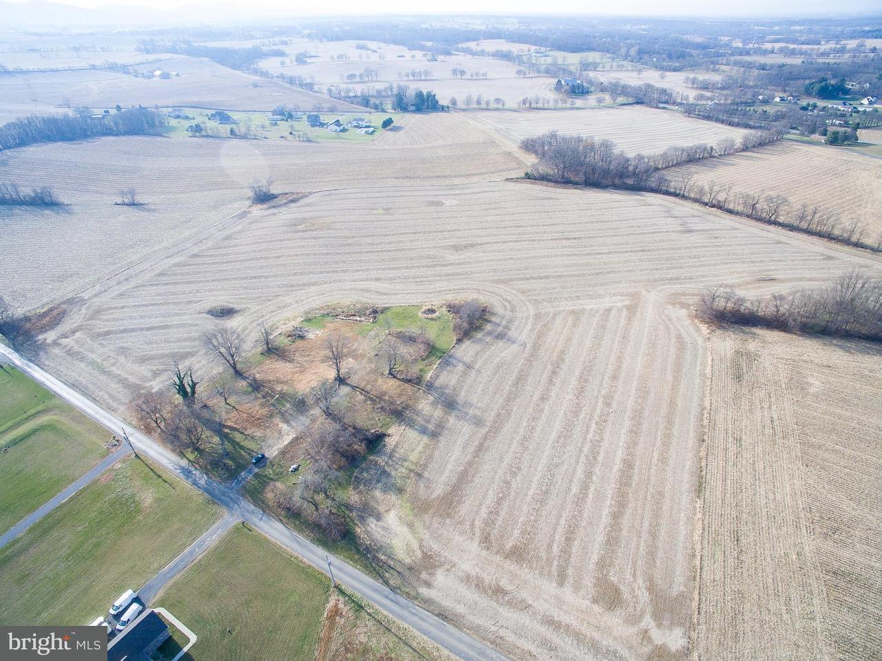 Lot 1 Clouser Rd - Photo 1
