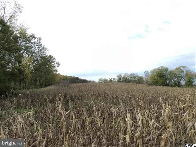 30 Chestnut Grove Road - Photo 1