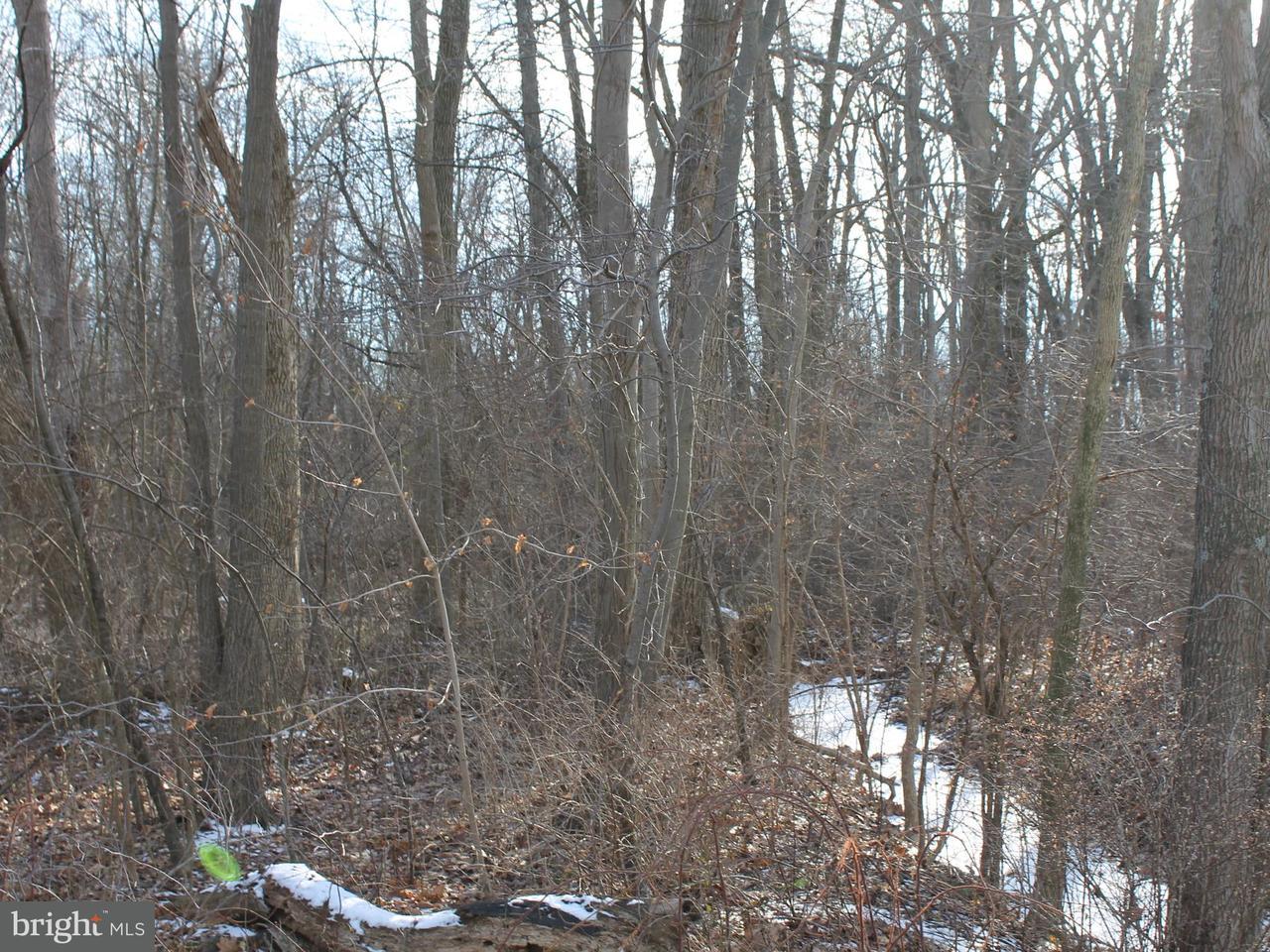 1695 Berlin Road - Photo 1