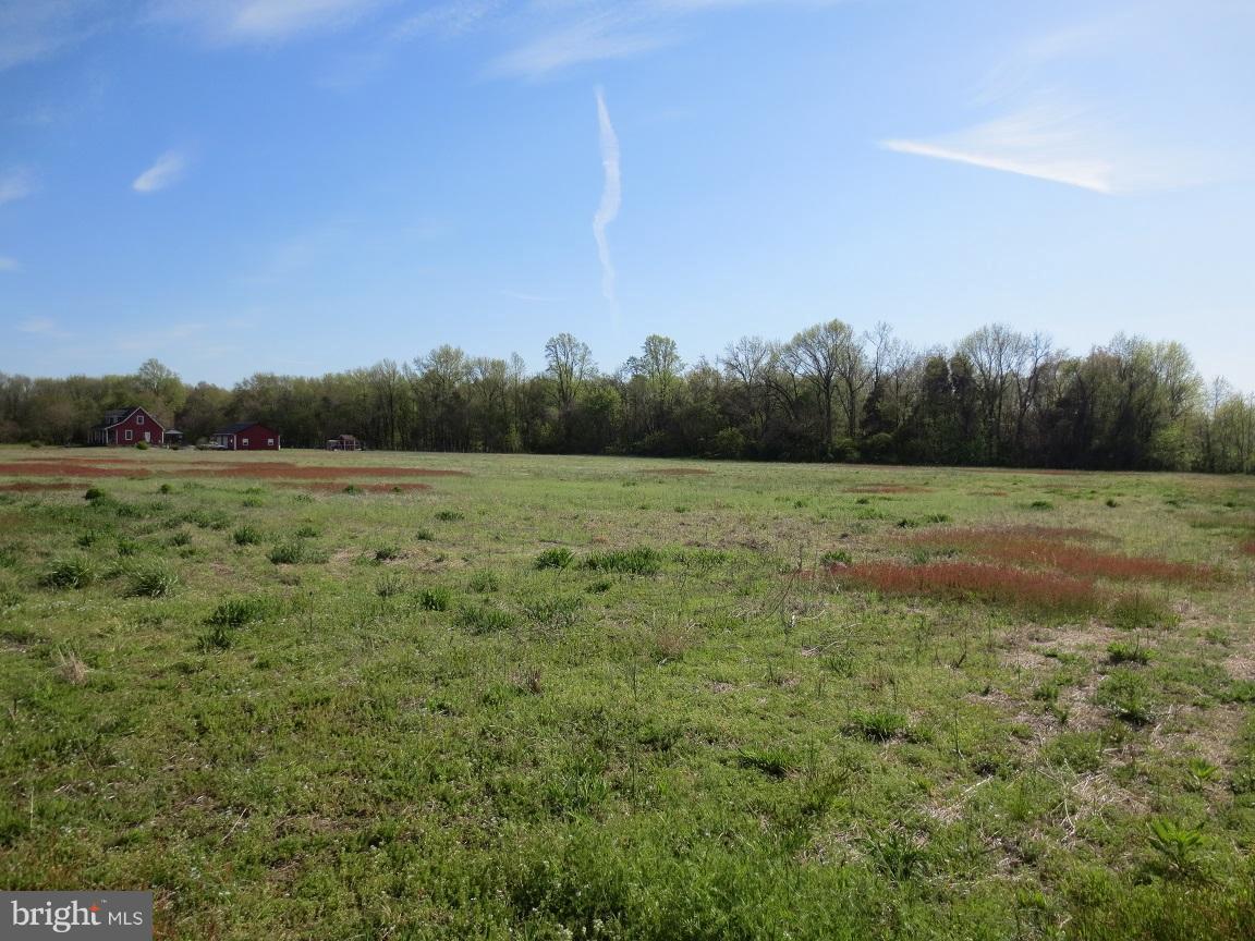 112 Pine Tree Road - Photo 1