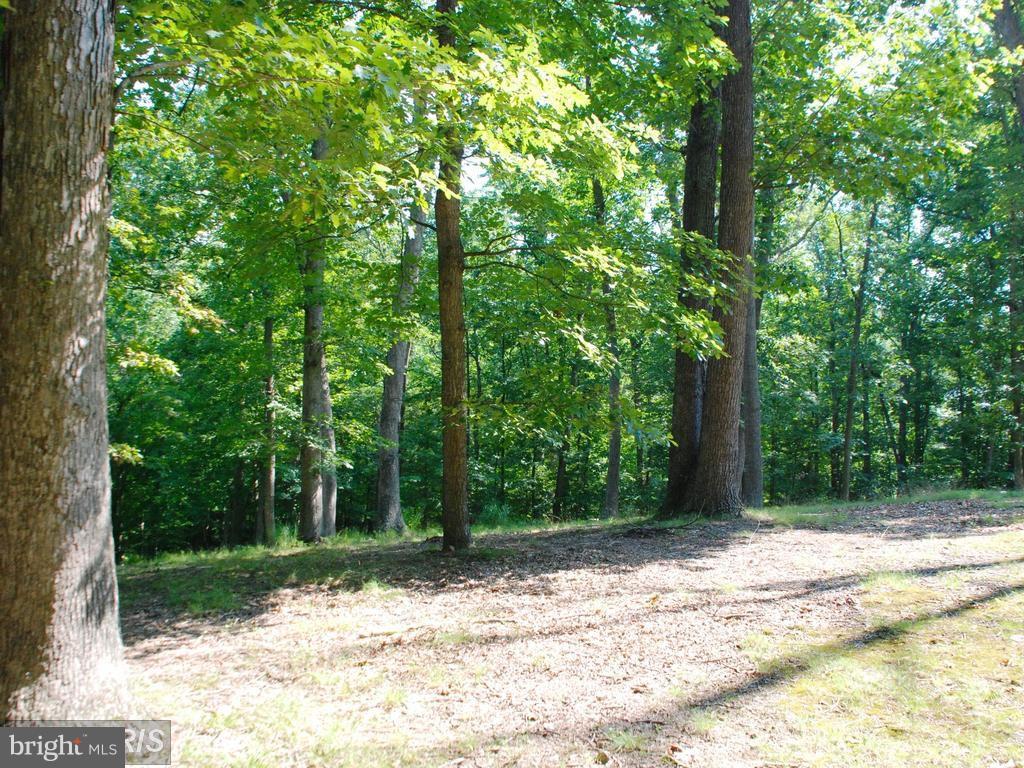 11013 Riverwood Drive - Photo 1