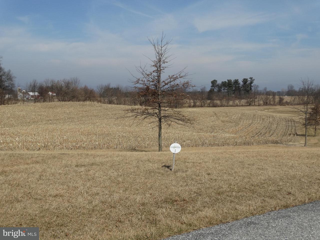 Lot 1 Peyton Drive - Photo 1