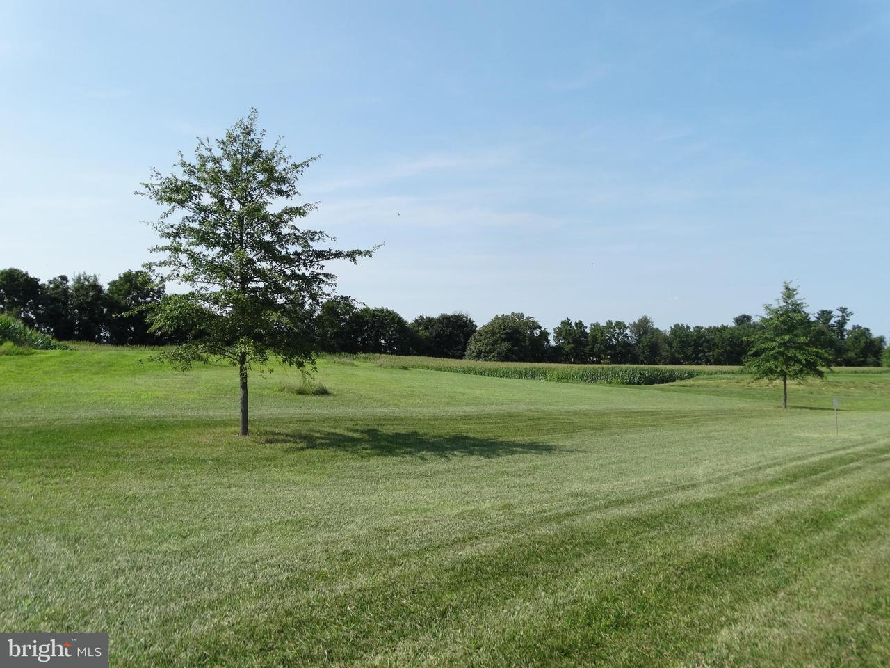 Lot 3 Peyton Drive - Photo 1