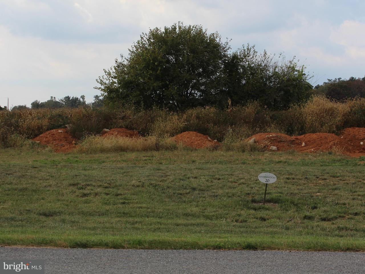 LOT 20 Peyton Drive - Photo 1