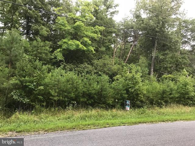 Lot #153 South Independence Drive - Photo 1