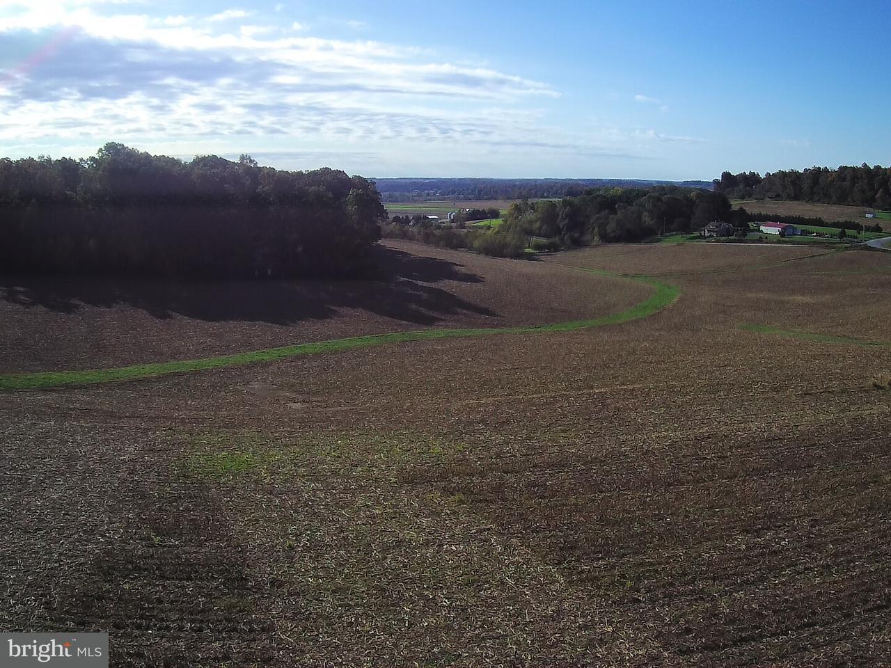 Lot #27 Hickory Road - Photo 1