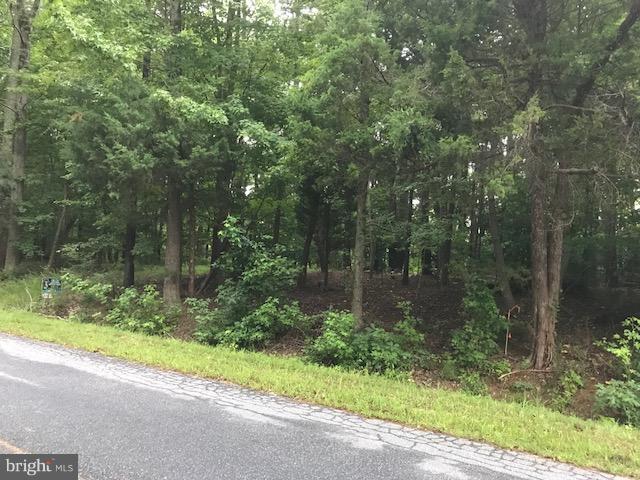 Lot #70/71 South Independence Drive - Photo 1