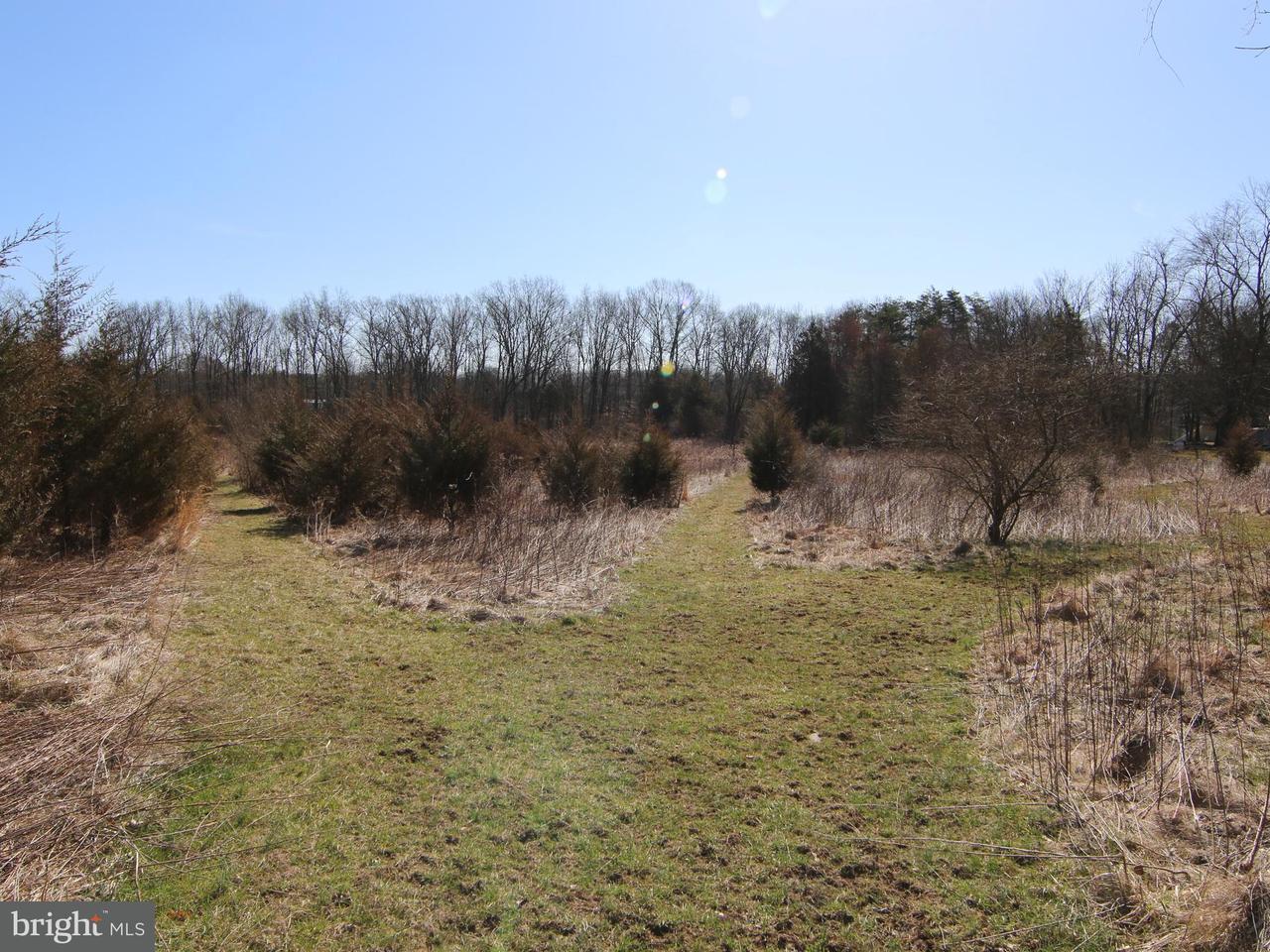 825 Locust Grove Road - Photo 1