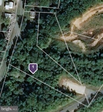 48 Cokesbury Road - Photo 1