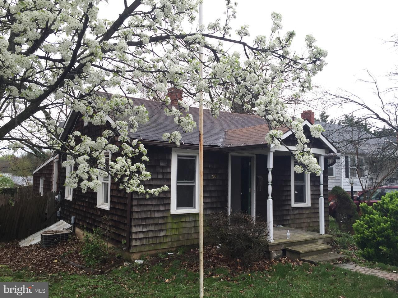 602 Cannon Street - Photo 1