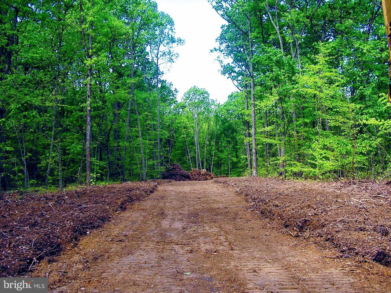 Musterfield Road - Photo 1