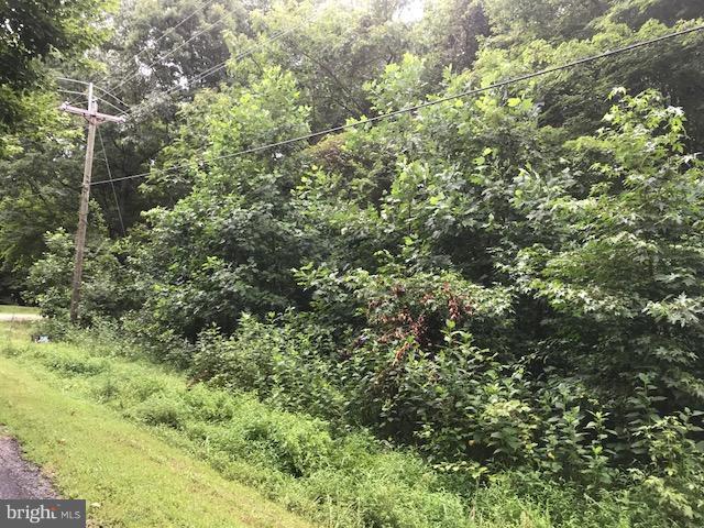 Lot #38/39 North Independence Drive - Photo 1