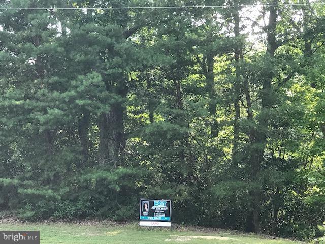 Lot #1 Timberland Drive - Photo 1