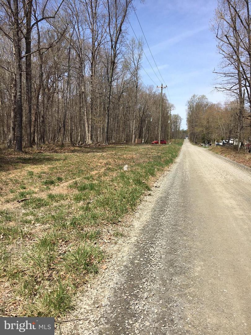 16107 Thoroughfare Road - Photo 1