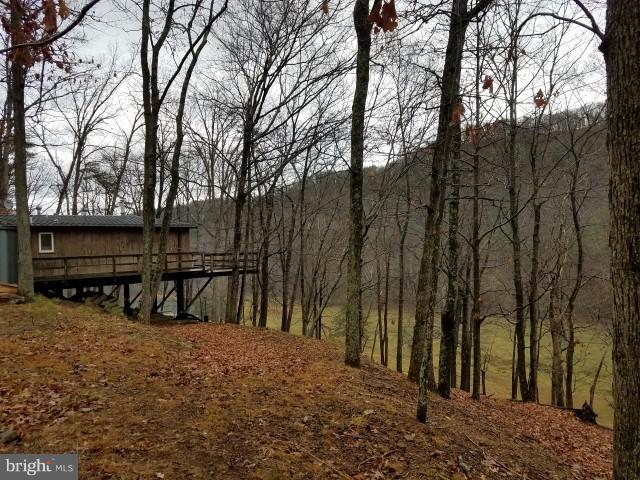 17 Backwoods - Photo 1
