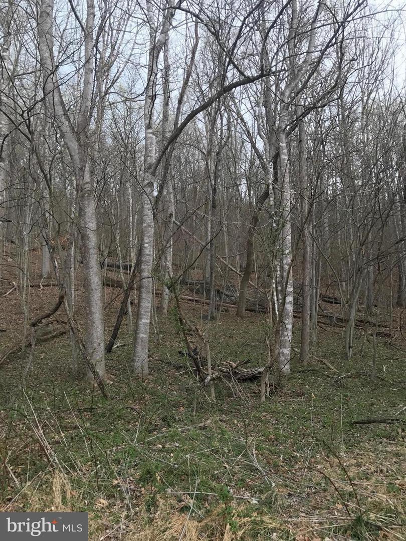 0 Long Point Lane - Photo 1