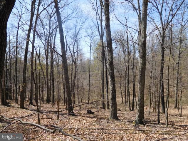 Lot 1 Mountain View Estates - Photo 1