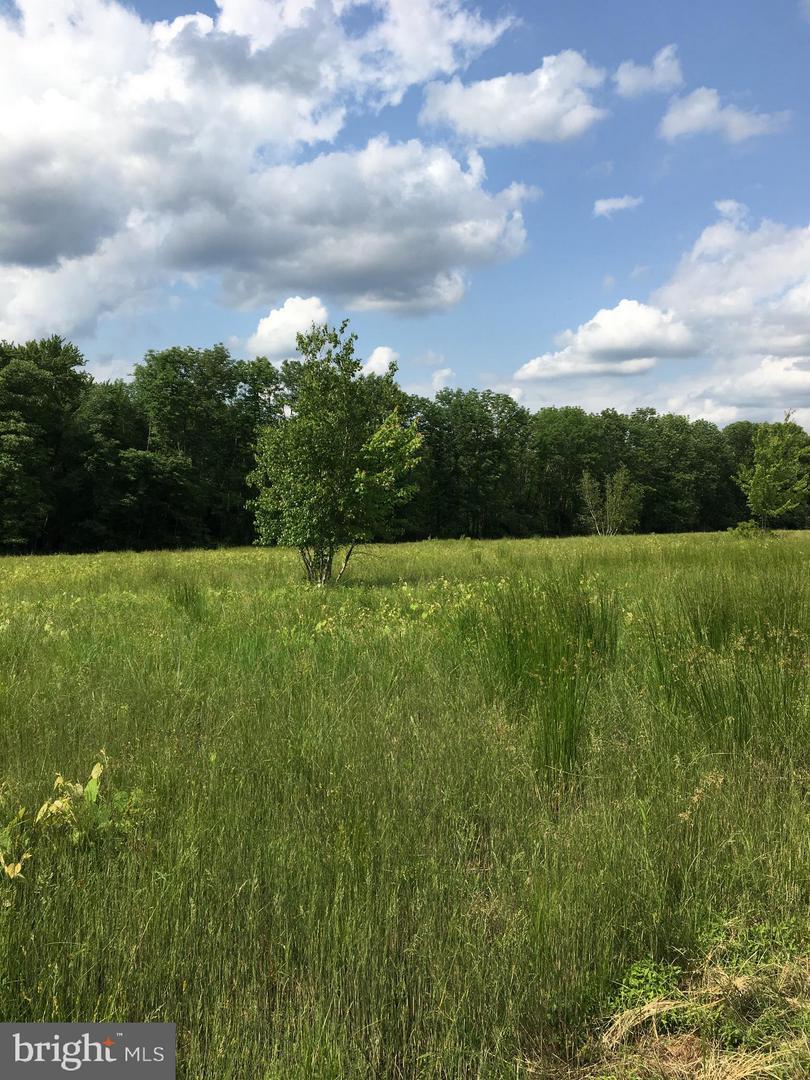 00 Cherry Valley Road - Photo 1
