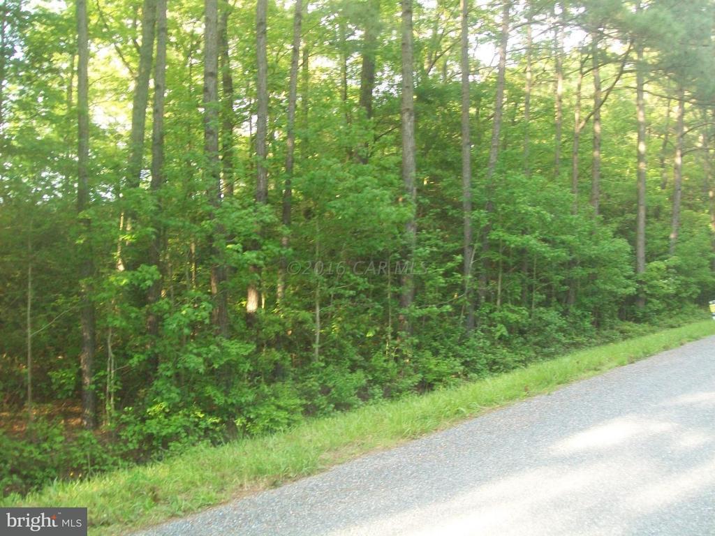 Greenbriar Drive - Photo 1