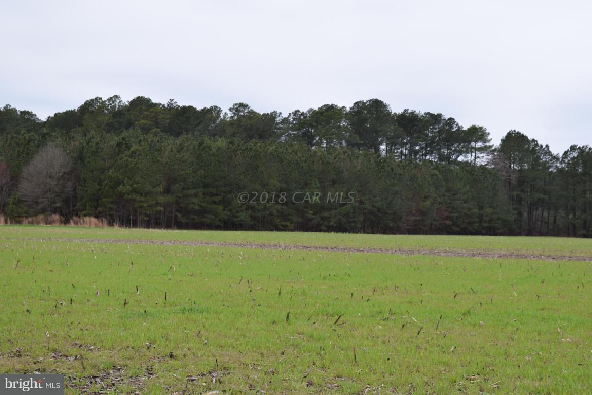 27811 Holland Crossing Road - Photo 1