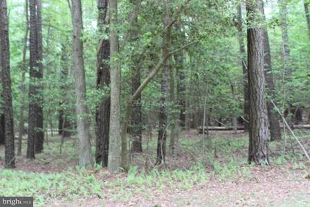 140 Ramrod Court - Photo 1