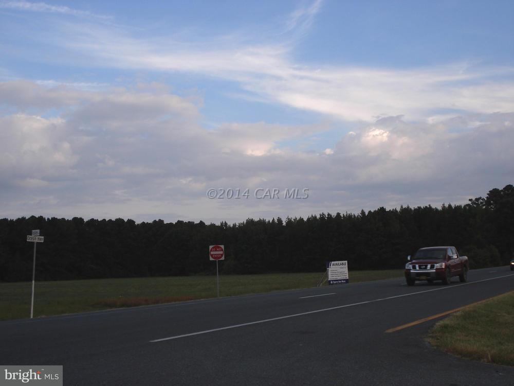 30299 Foskey Lane - Photo 1