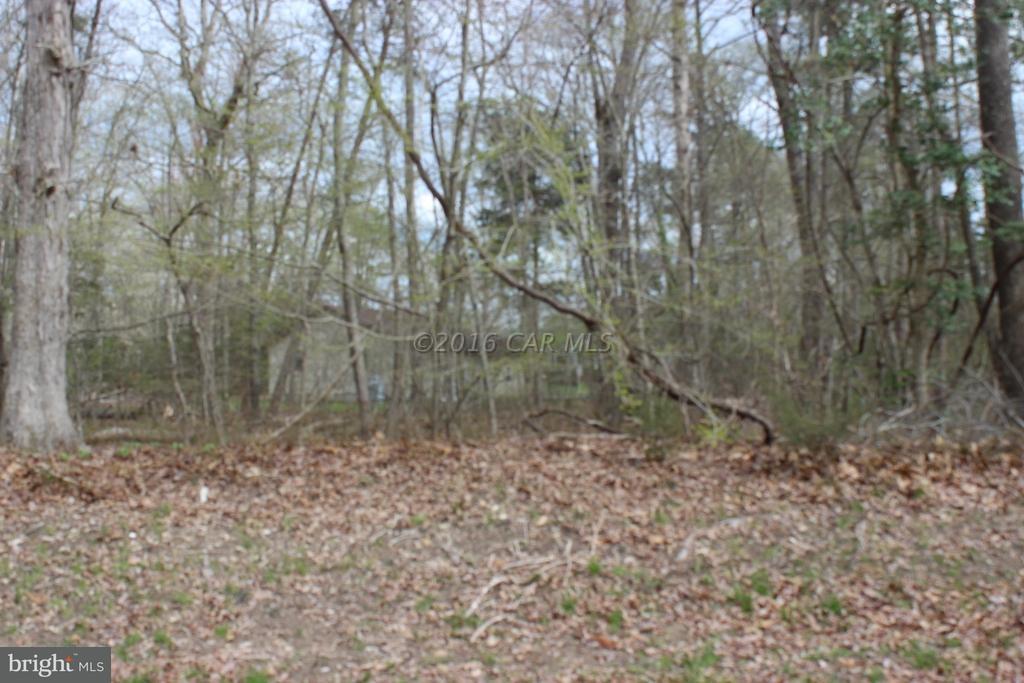 82 Brigantine Boulevard - Photo 1
