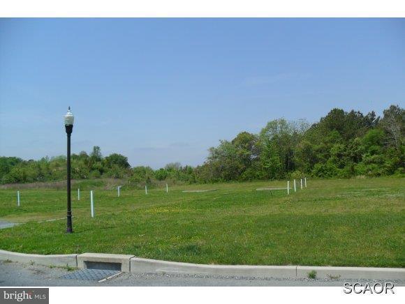 Butler's Village W/S Lynn Haven Drive - Photo 1