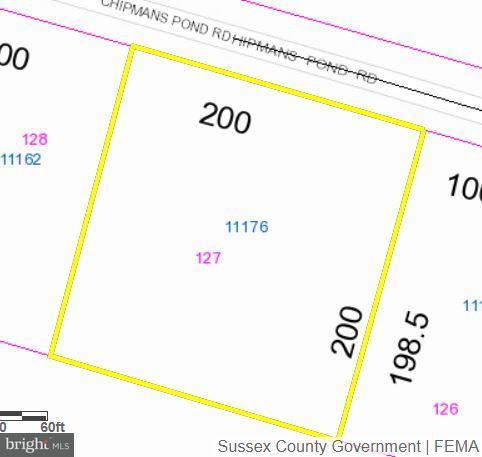 11176 Chipmans Pond Road - Photo 1