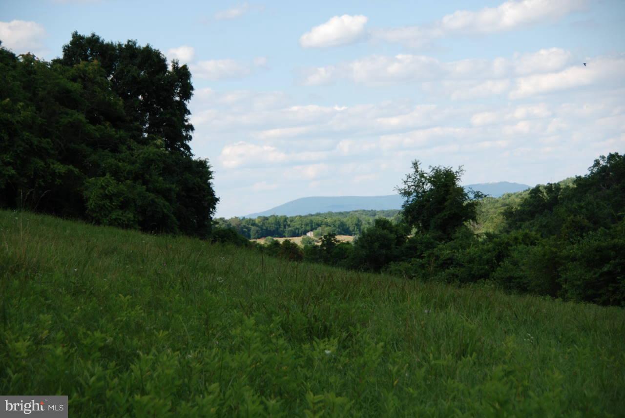 Rooney Road - Photo 1