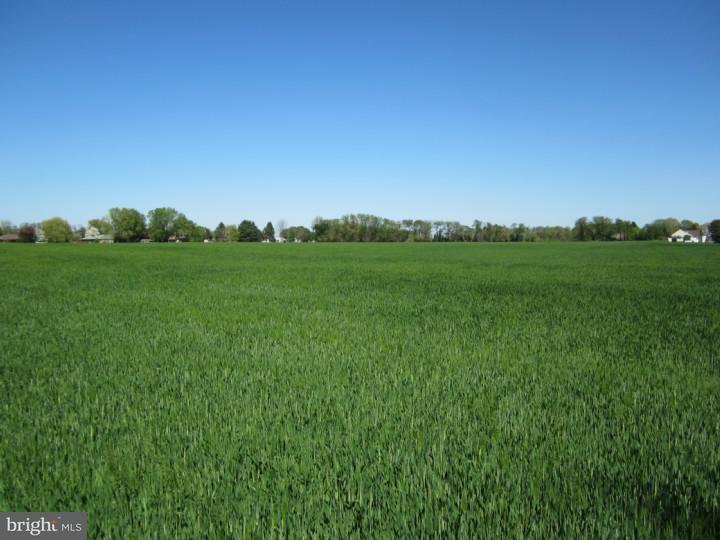 L: 7&21 Supawna Road - Photo 1