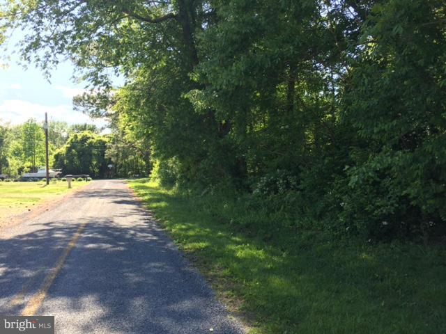 Carter Avenue - Photo 1
