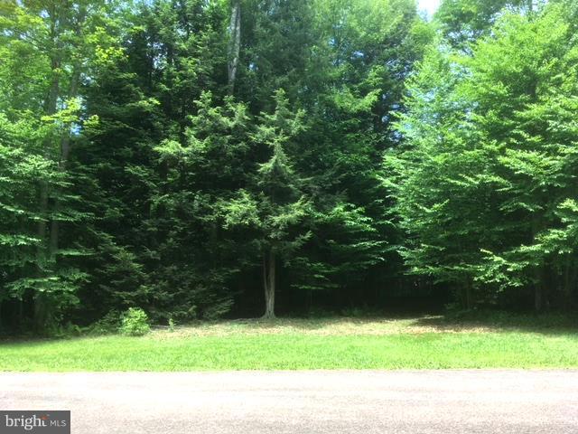 Lot 10 Walnut Hill Subdivision - Photo 1