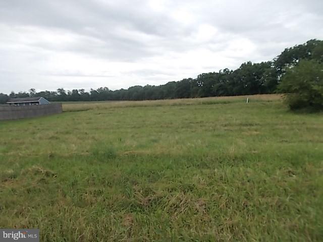 Thornwood Road - Photo 1